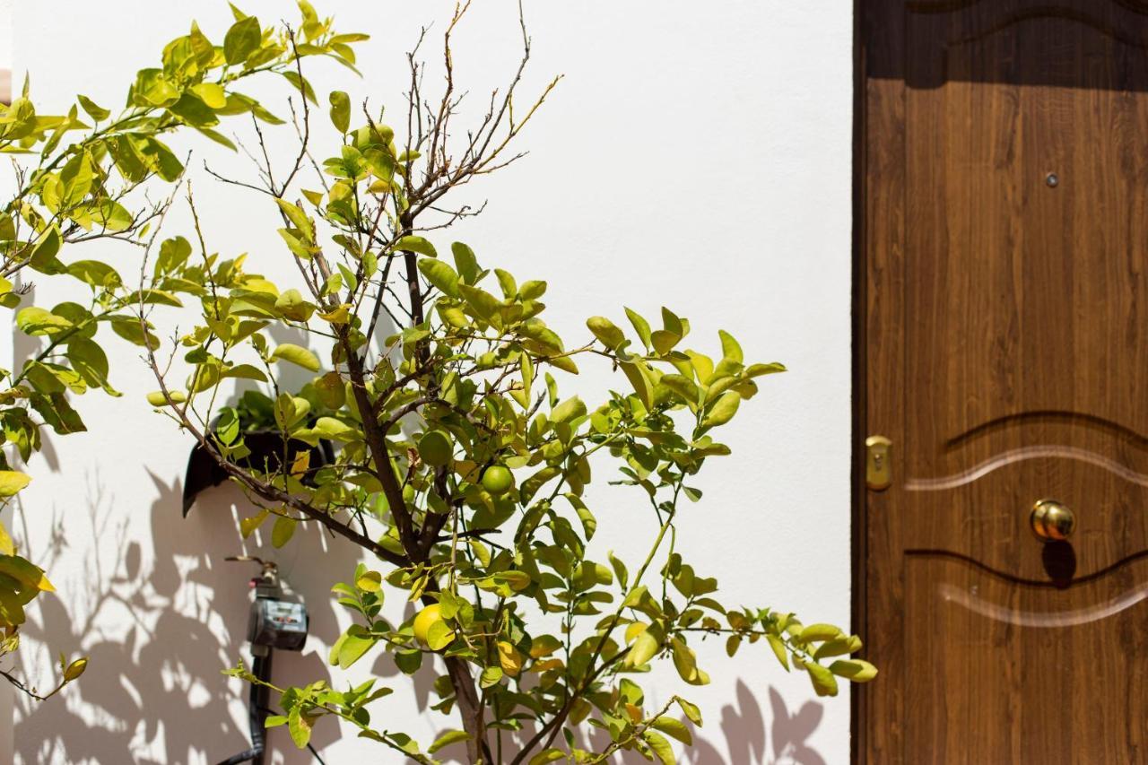 Apartament Casa Turistica Patio Cordobes - Parking Privado En La Juderia Kordoba Zewnętrze zdjęcie