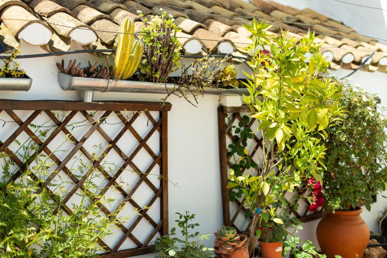 Apartament Casa Turistica Patio Cordobes - Parking Privado En La Juderia Kordoba Zewnętrze zdjęcie