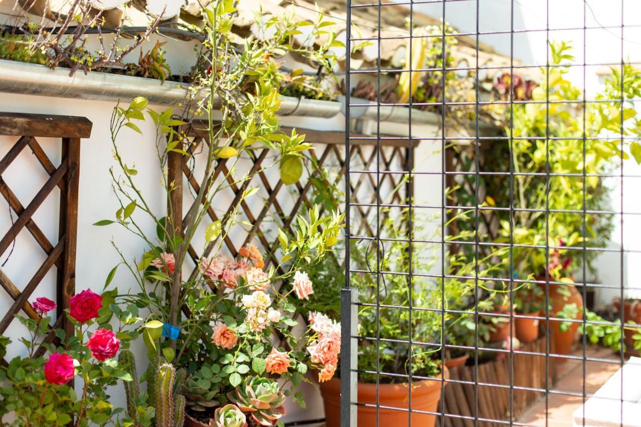 Apartament Casa Turistica Patio Cordobes - Parking Privado En La Juderia Kordoba Zewnętrze zdjęcie